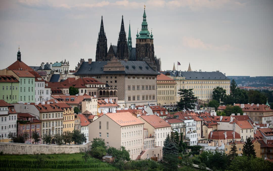 Výběr předmětů IB pro studenty z Year 11