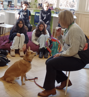 Sundae the Comfort Dog Brings Joy to Park Lane!